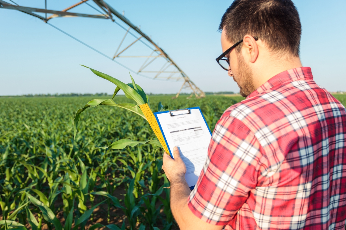 Agricultural consulting in field